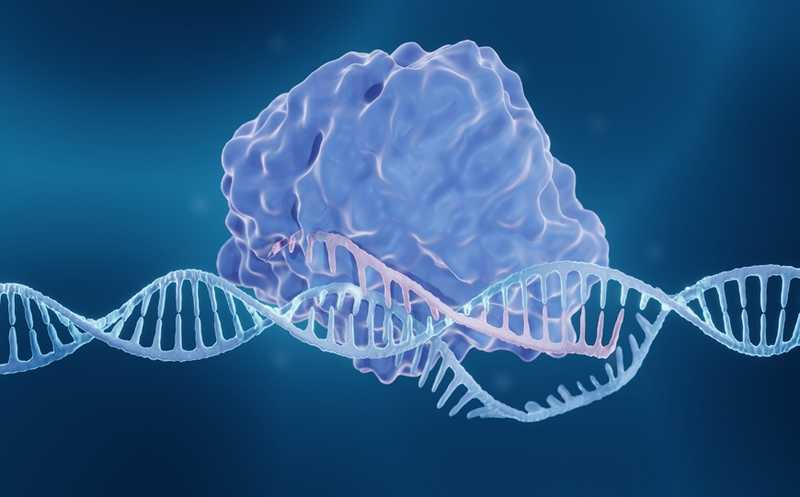 CRISPR-тест для диагностики туберкулеза выявляет инфекцию за 15 минут