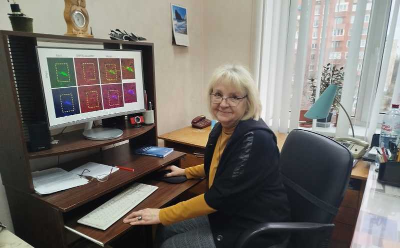 Ирина Екимова: «Я от всей души полюбила белки теплового шока»