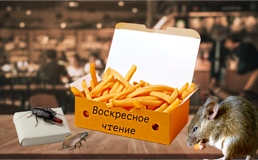 Сон беременных тараканов и другие новости недели