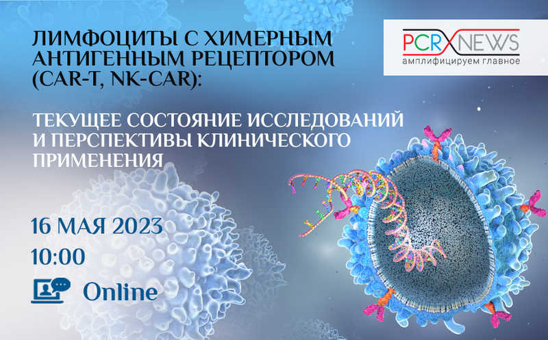 Лимфоциты с химерным антигенным рецептором (CAR-T, NK-CAR)