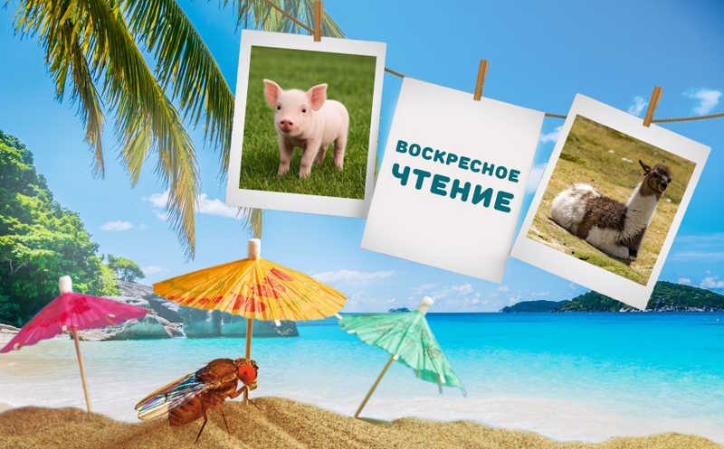 Вакцинация зубной нитью и другие новости недели