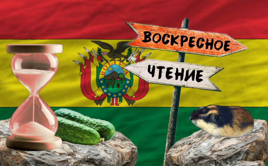 Роль синонимичной мутации в одомашнивании огурца и другие новости недели