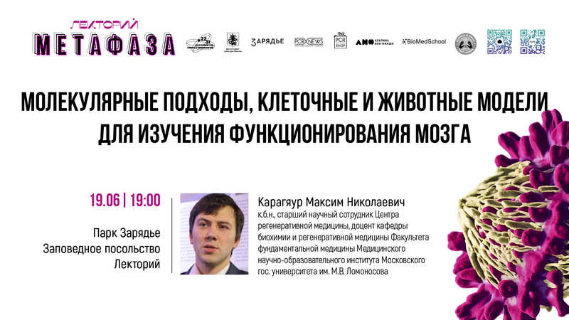 Лекция: «Молекулярные подходы, клеточные и животные модели для изучения функционирования мозга в норме и при патологии»