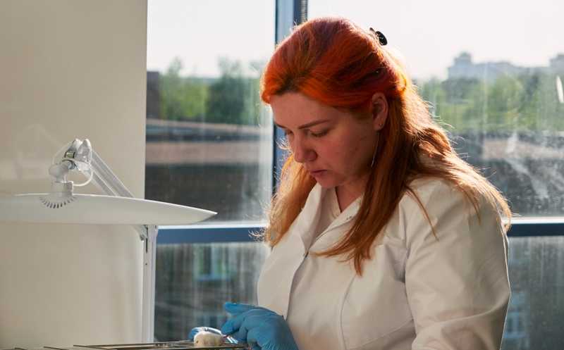 Виктория Шипунова: «Биологам говорю, что я физик, физикам, что биолог, а когда встречаюсь с биофизиками, молчу»