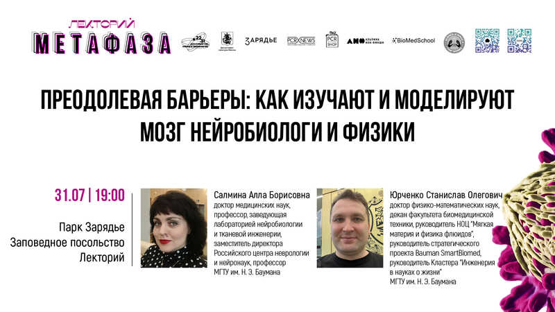 Лекция: «Преодолевая барьеры: как изучают и моделируют мозг нейробиологи и физики»