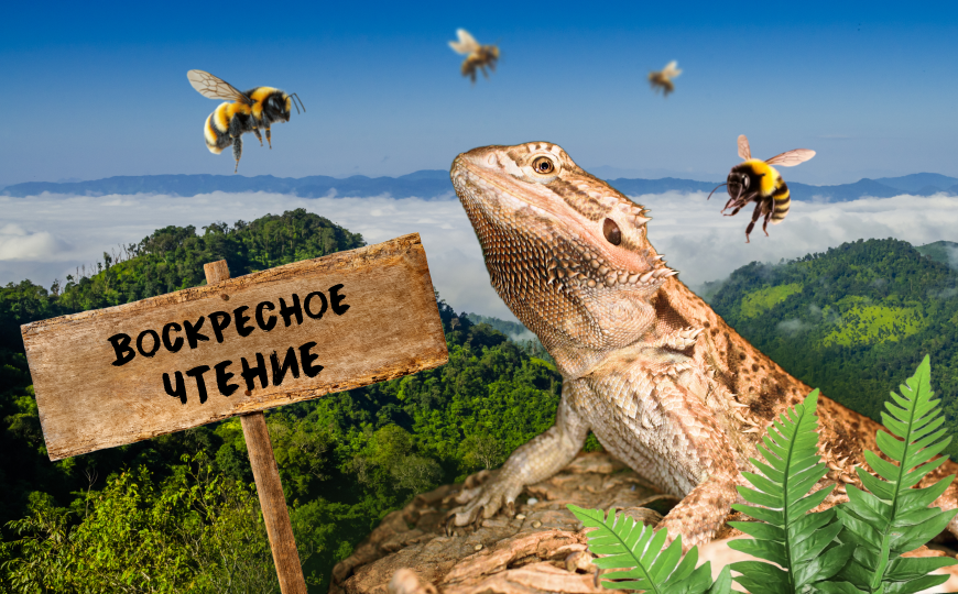 Неандертальский ген муцина и другие новости недели